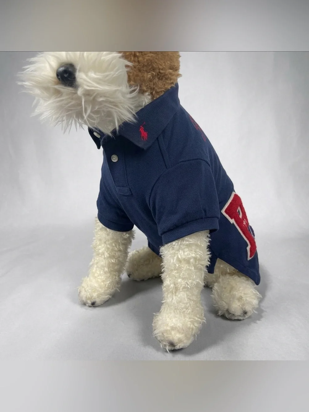 Polo Ralph Lauren Blue Short Sleeved Pique Patch Polo Shirt For Dogs Size M